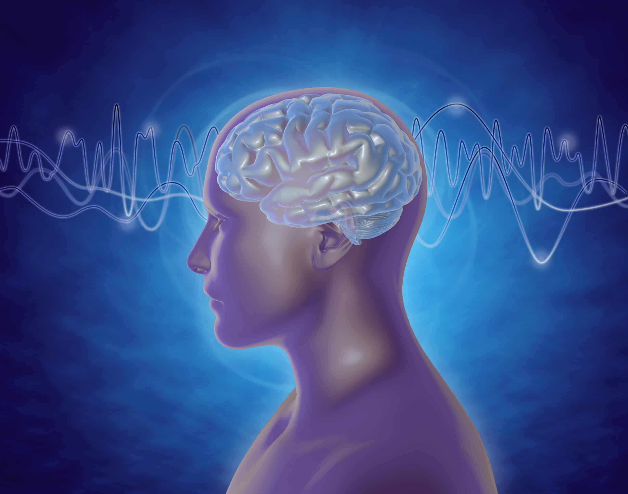 PALO ALTO NEUROFEEDBACK SERVICES