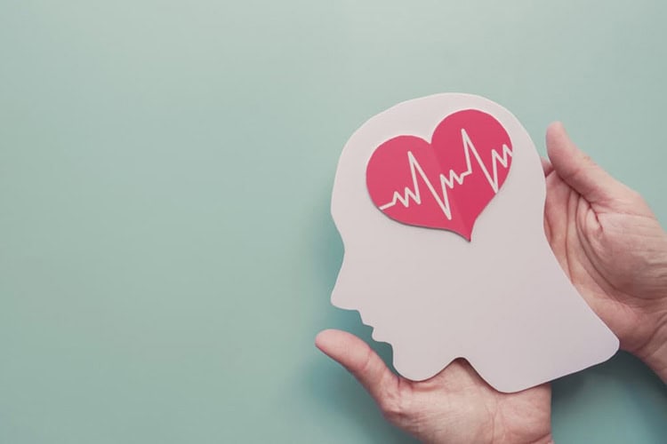 Optimize Your Brain Health with Program