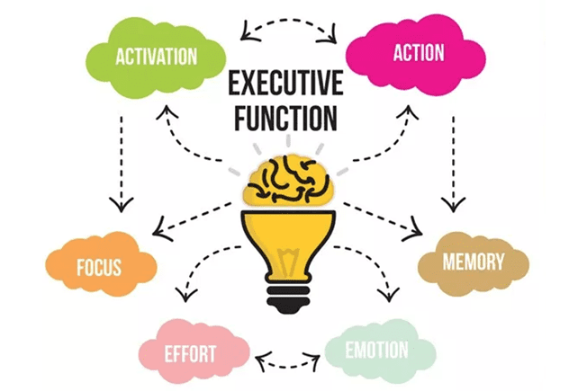 More Control over Their Executive Functions